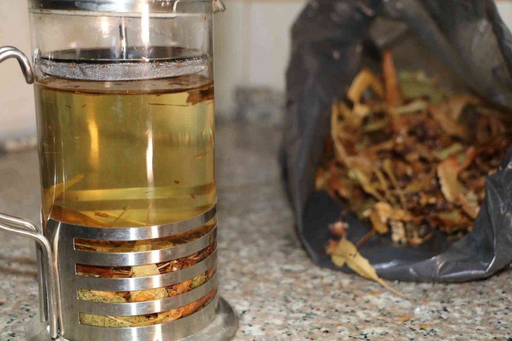 KIŞ AYLARININ VAZGEÇİLMEZİ OLAN IHLAMUR TÜKETİCİNİN CEBİNİ YAKMASINA RAĞMEN SAĞLIK İÇİN TERCİH EDİLMEYE DEVAM EDİLİYOR.GEÇEN SENE IHLAMUR ÇİÇEĞİNİN KİLOGRAM FİYATI 500 TL İKEN BU YIL 600 TL'YE KADAR YÜKSELDİ