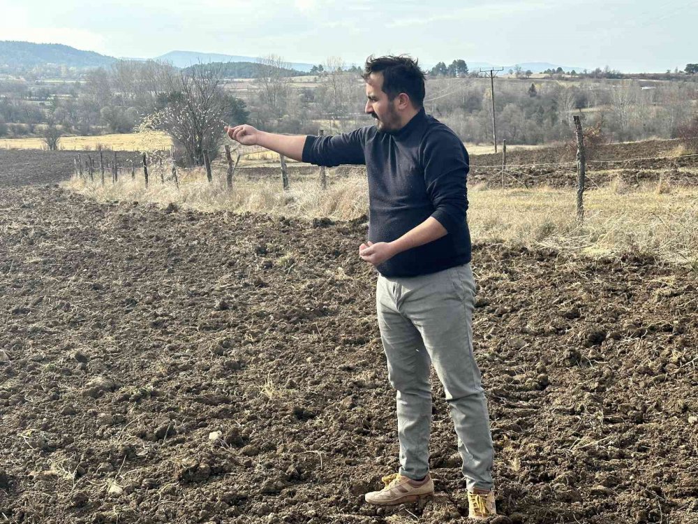 KASTAMONU'DA, GEÇMİŞİ 12 BİN YIL ÖNCESİNE DAYANAN VE "HİTİT BUĞDAYI" OLARAK ANILAN COĞRAFİ İŞARETLİ SİYEZİN EKİMİNE BAŞLANDI