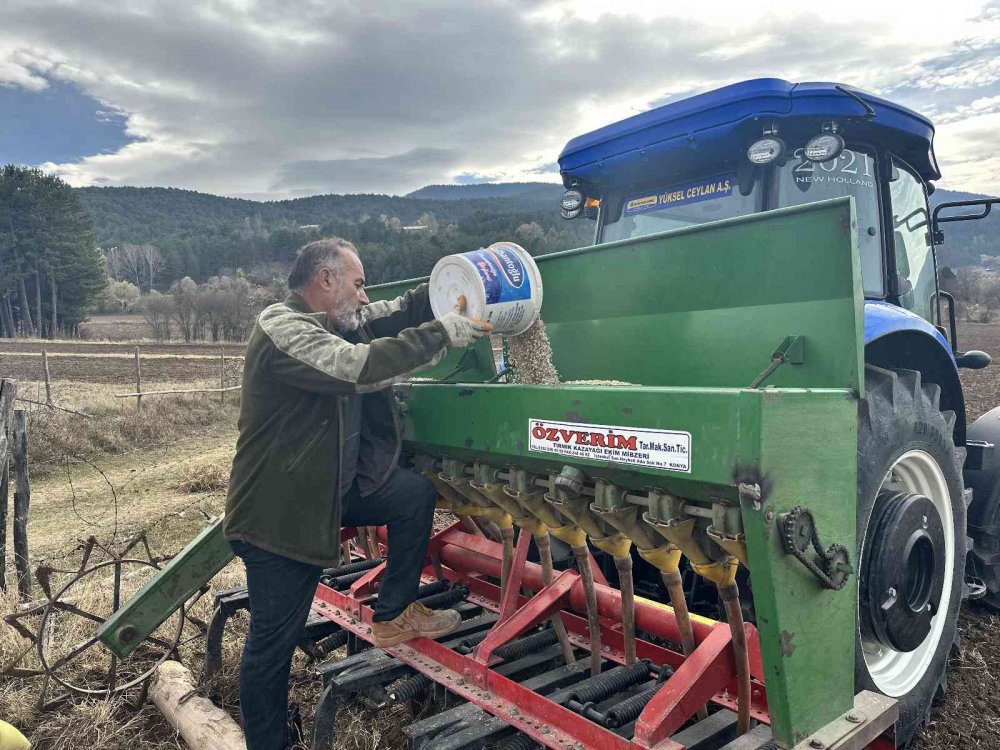 KASTAMONU'DA, GEÇMİŞİ 12 BİN YIL ÖNCESİNE DAYANAN VE "HİTİT BUĞDAYI" OLARAK ANILAN COĞRAFİ İŞARETLİ SİYEZİN EKİMİNE BAŞLANDI