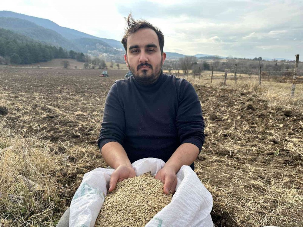 KASTAMONU'DA, GEÇMİŞİ 12 BİN YIL ÖNCESİNE DAYANAN VE "HİTİT BUĞDAYI" OLARAK ANILAN COĞRAFİ İŞARETLİ SİYEZİN EKİMİNE BAŞLANDI