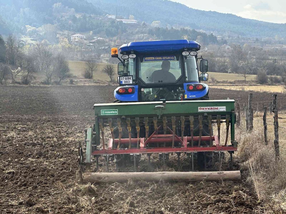 KASTAMONU'DA, GEÇMİŞİ 12 BİN YIL ÖNCESİNE DAYANAN VE "HİTİT BUĞDAYI" OLARAK ANILAN COĞRAFİ İŞARETLİ SİYEZİN EKİMİNE BAŞLANDI