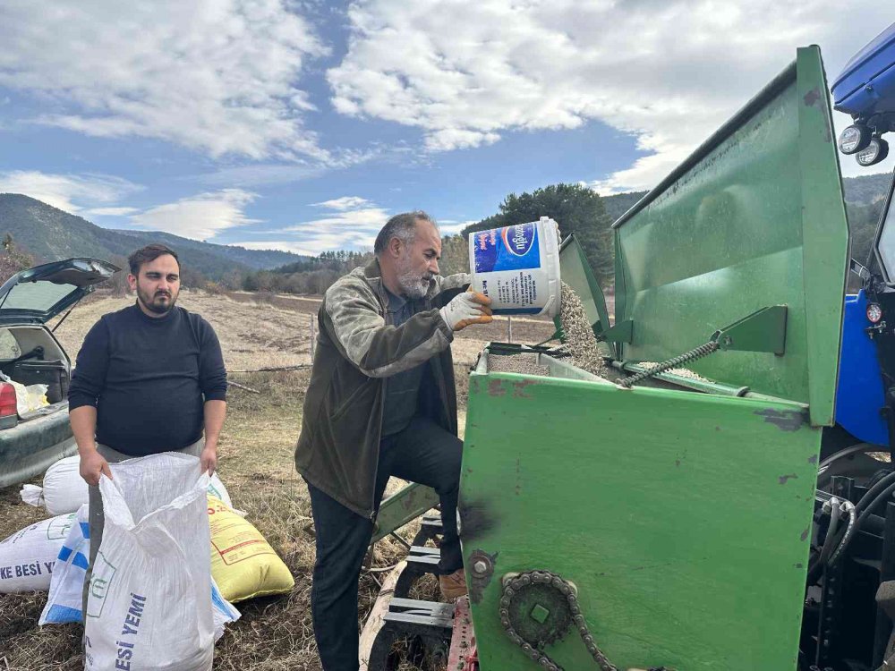 KASTAMONU'DA, GEÇMİŞİ 12 BİN YIL ÖNCESİNE DAYANAN VE "HİTİT BUĞDAYI" OLARAK ANILAN COĞRAFİ İŞARETLİ SİYEZİN EKİMİNE BAŞLANDI