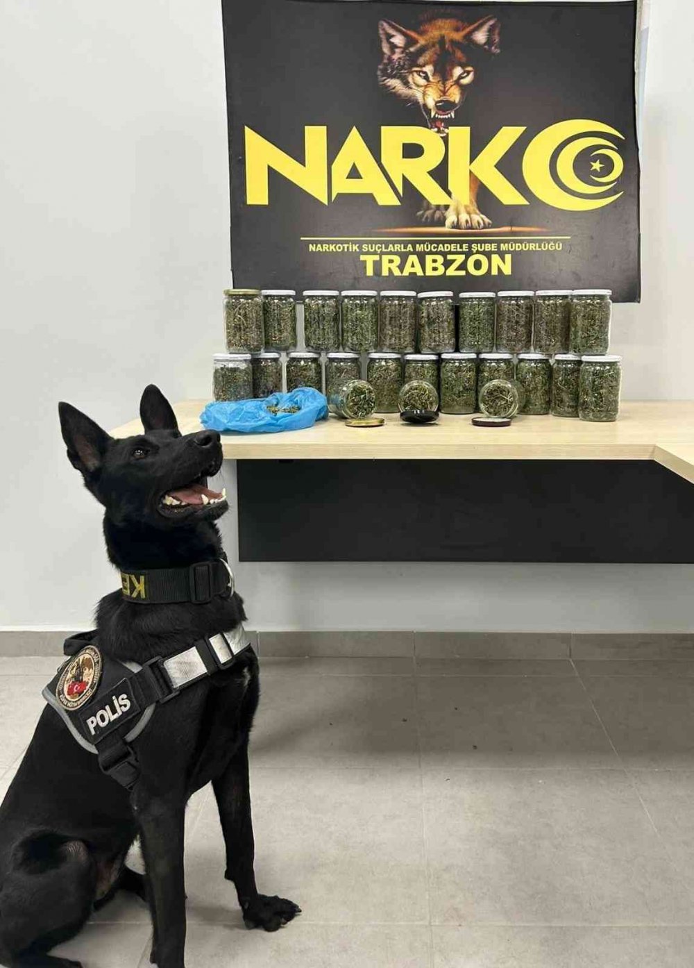 TRABZON'DA POLİS EKİPLERİ TARAFINDAN GERÇEKLEŞTİRİLEN OPERASYONLA 25 ADET KAVANOZ İÇERİSİNDE 2 BİN 64 GR. KUBAR ESRAR ELE GEÇİRİLDİ