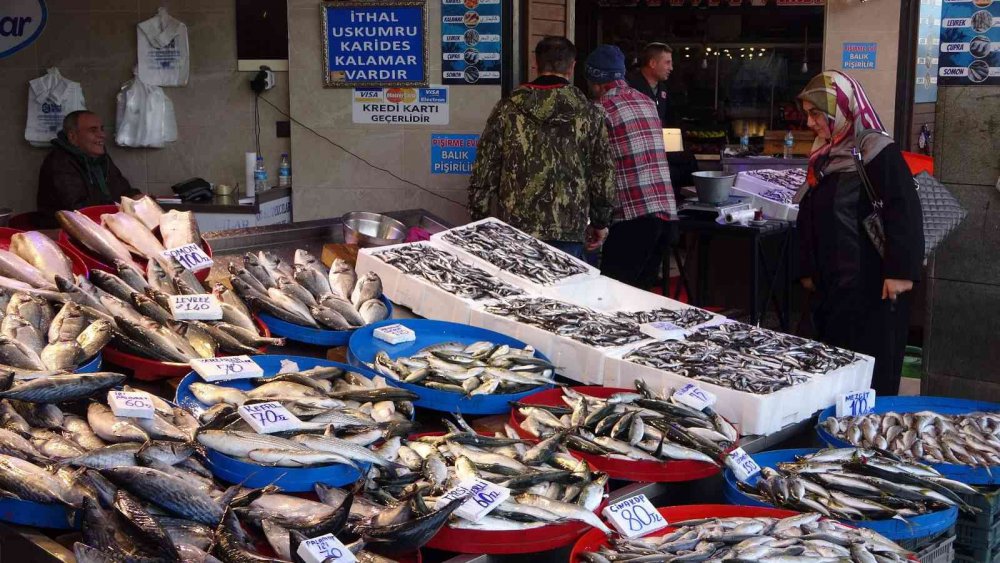 KARADENİZ'DE UZUN YILLAR SONRA İLK KEZ BU SEZON HEM PALAMUT HEM DE HAMSİDE BOLLUK YAŞANIYOR