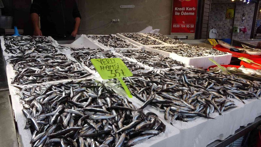 KARADENİZ'DE UZUN YILLAR SONRA İLK KEZ BU SEZON HEM PALAMUT HEM DE HAMSİDE BOLLUK YAŞANIYOR