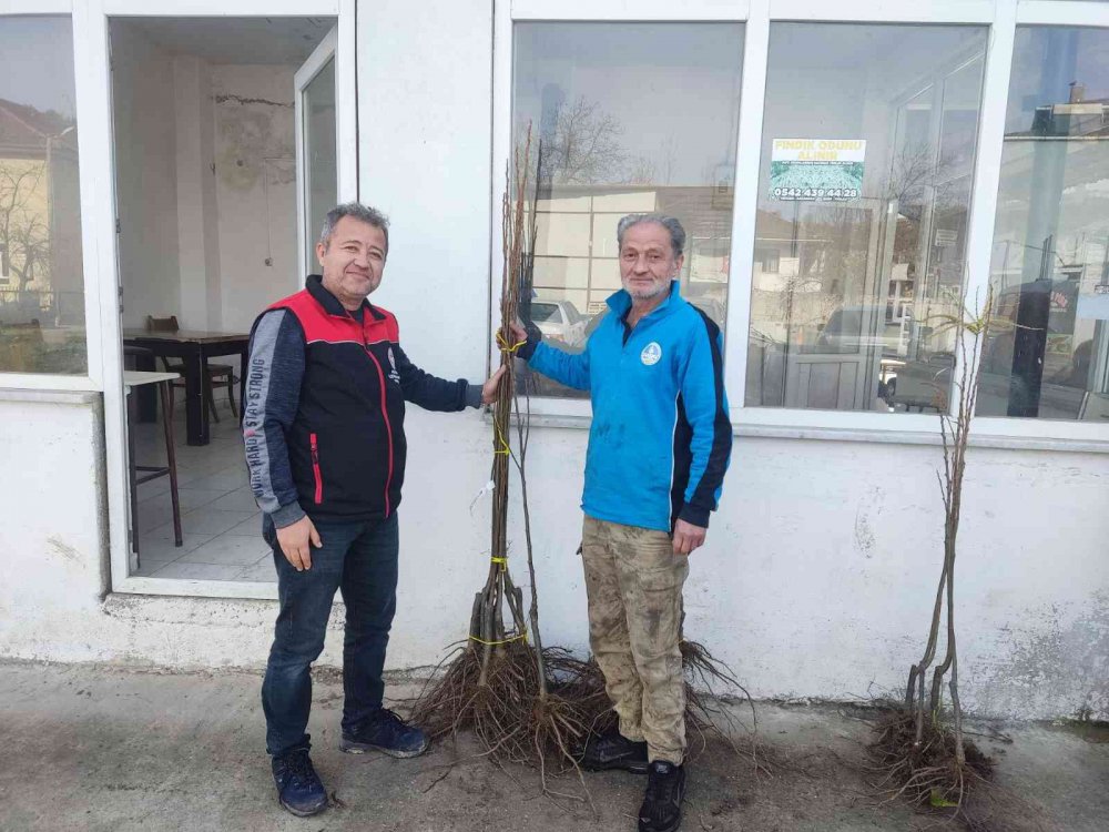 AKÇAKOCA İLÇE TARIM MÜDÜRLÜĞÜ EKİPLERİ TARAFINDAN COĞRAFİ İŞARETLİ KESTANE BALINA LEZZET KATACAK KESTANE BAHÇELERİN TESİS EDİLMESİ PROJESİ DAHİLİNDE ÇİFTÇİLERE FİDAN DAĞITIMI YAPILDI