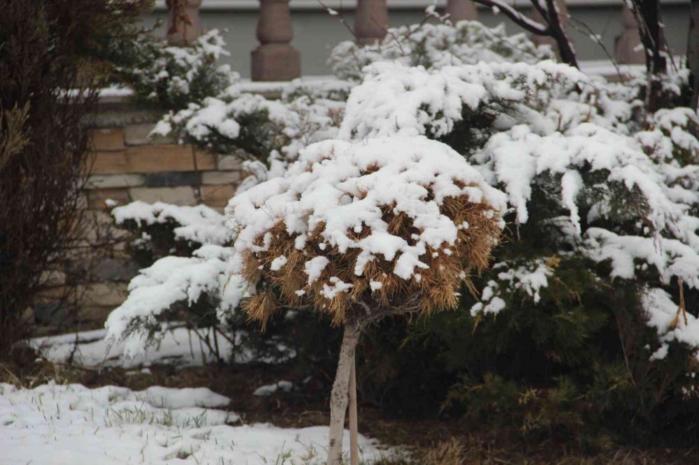 ERZURUM'DA SABAH SAATLERİNDE ETKİLİ OLAN KAR YAĞIŞI, MERKEZİ BÖLGELERİ BEYAZA BÜRÜDÜ. ERZURUMLULAR, GÖZLERİNİ BEYAZ ÖRTÜYE AÇTI