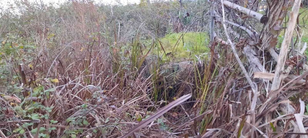 SAMSUN'UN 19 MAYIS İLÇESİNDE BULUNAN OSMANLI DÖNEMİNE AİT TAŞ KÖPRÜ'NÜN SON HALİ VİCDANLARI SIZLATTI. TARİHÇİ-SOSYOLOG EMİN GÜNAYDIN  