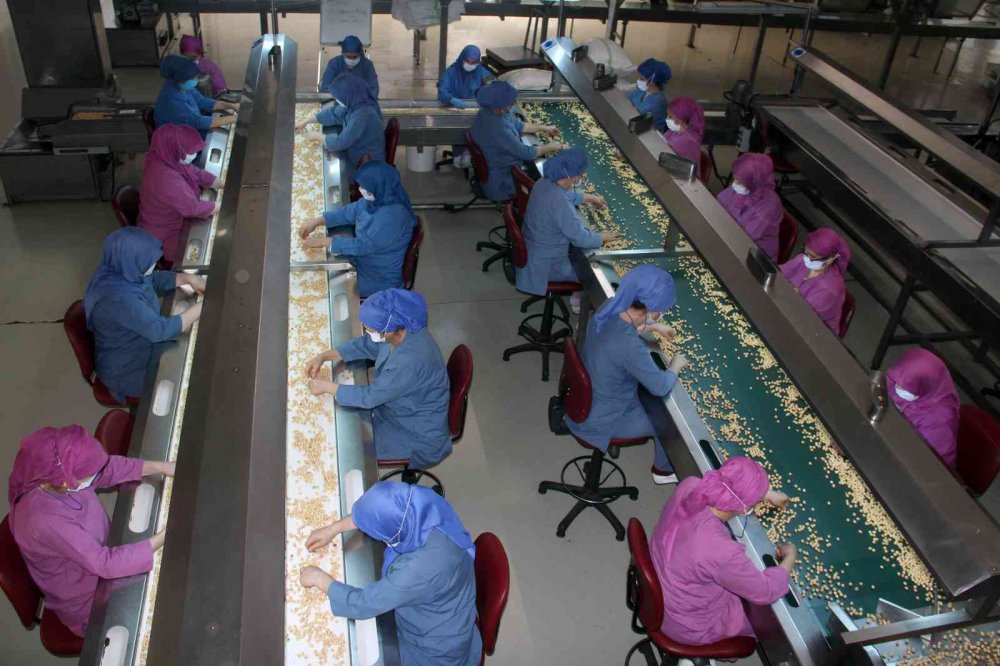 FİSKOBİRLİK YÖNETİM KURULU BAŞKANI LÜTFİ BAYRAKTAR, 2022 YILINI TİCARİ VE ÜRETİM ALANINDA ÇOK İYİ GEÇİRDİKLERİNİ BELİRTEREK YAŞANAN KÜRESEL EKONOMİK KRİZİ ÜLKEMİZDE EN HAFİF ATLATANLARIN FINDIK ÜRETİCİLERİ OLDUĞUNU SÖYLEDİ