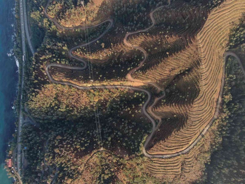 UZMANLAR, KARADENİZ BÖLGESİ'NDEKİ ÖRTÜ VE ORMAN YANGINLARININ EN FAZLA NEMİN AZ OLDUĞU OCAK, ŞUBAT VE MART AYLARINDA ÇIKTIĞINI BELİRTEREK YANGIN SEZONU ÖNCESİ UYARIDA BULUNDULAR