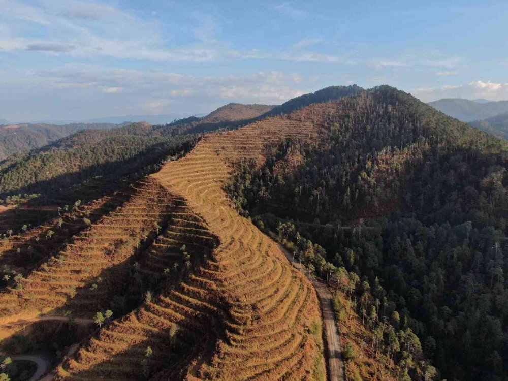 UZMANLAR, KARADENİZ BÖLGESİ'NDEKİ ÖRTÜ VE ORMAN YANGINLARININ EN FAZLA NEMİN AZ OLDUĞU OCAK, ŞUBAT VE MART AYLARINDA ÇIKTIĞINI BELİRTEREK YANGIN SEZONU ÖNCESİ UYARIDA BULUNDULAR