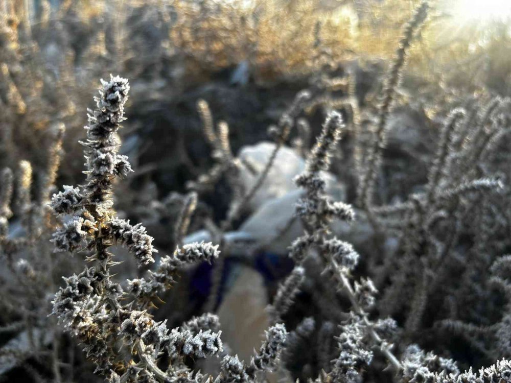 HAVA SICAKLIĞININ EKSİ 5 DERECEYE DÜŞTÜĞÜ ERZURUM ADETA BUZ TUTTU. VATANDAŞLAR, SABAH ARAÇLARININ BUZ TUTAN CAMLARINI TEMİZLEDİ