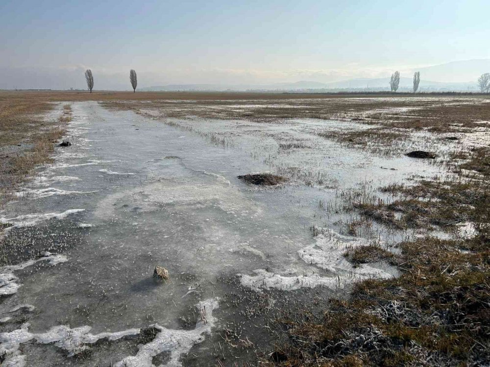 HAVA SICAKLIĞININ EKSİ 5 DERECEYE DÜŞTÜĞÜ ERZURUM ADETA BUZ TUTTU. VATANDAŞLAR, SABAH ARAÇLARININ BUZ TUTAN CAMLARINI TEMİZLEDİ