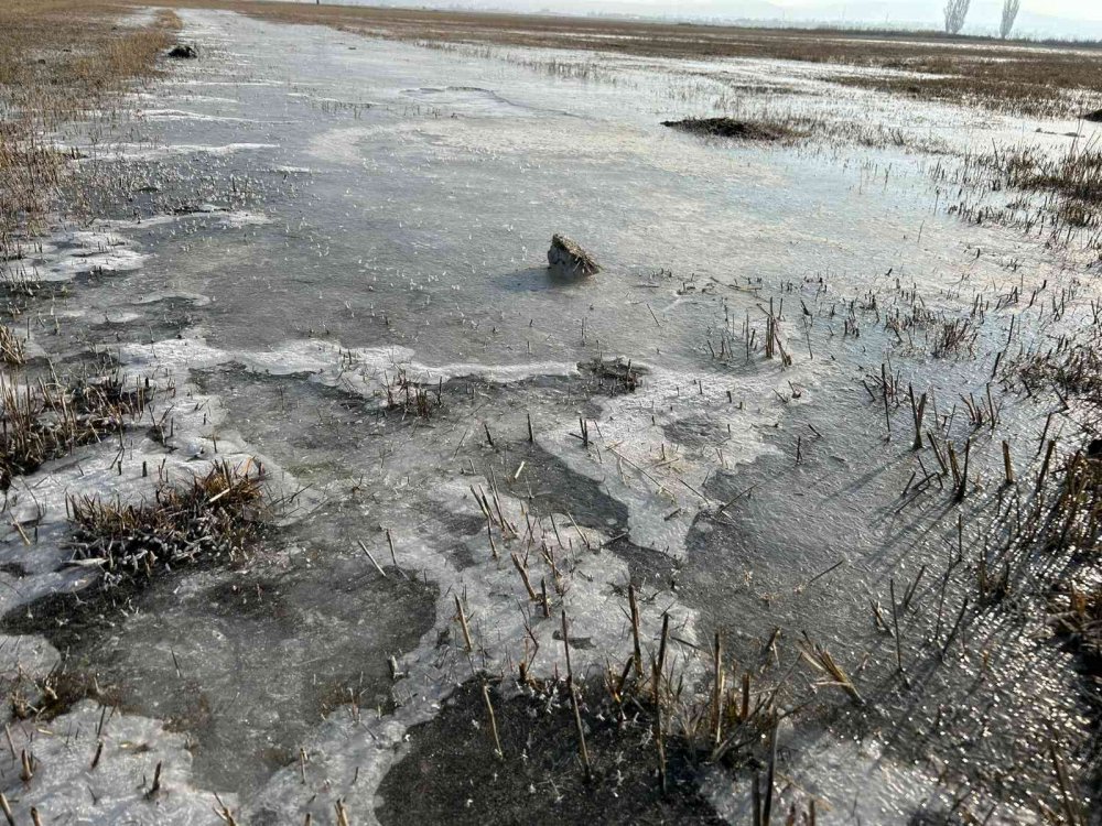 HAVA SICAKLIĞININ EKSİ 5 DERECEYE DÜŞTÜĞÜ ERZURUM ADETA BUZ TUTTU. VATANDAŞLAR, SABAH ARAÇLARININ BUZ TUTAN CAMLARINI TEMİZLEDİ