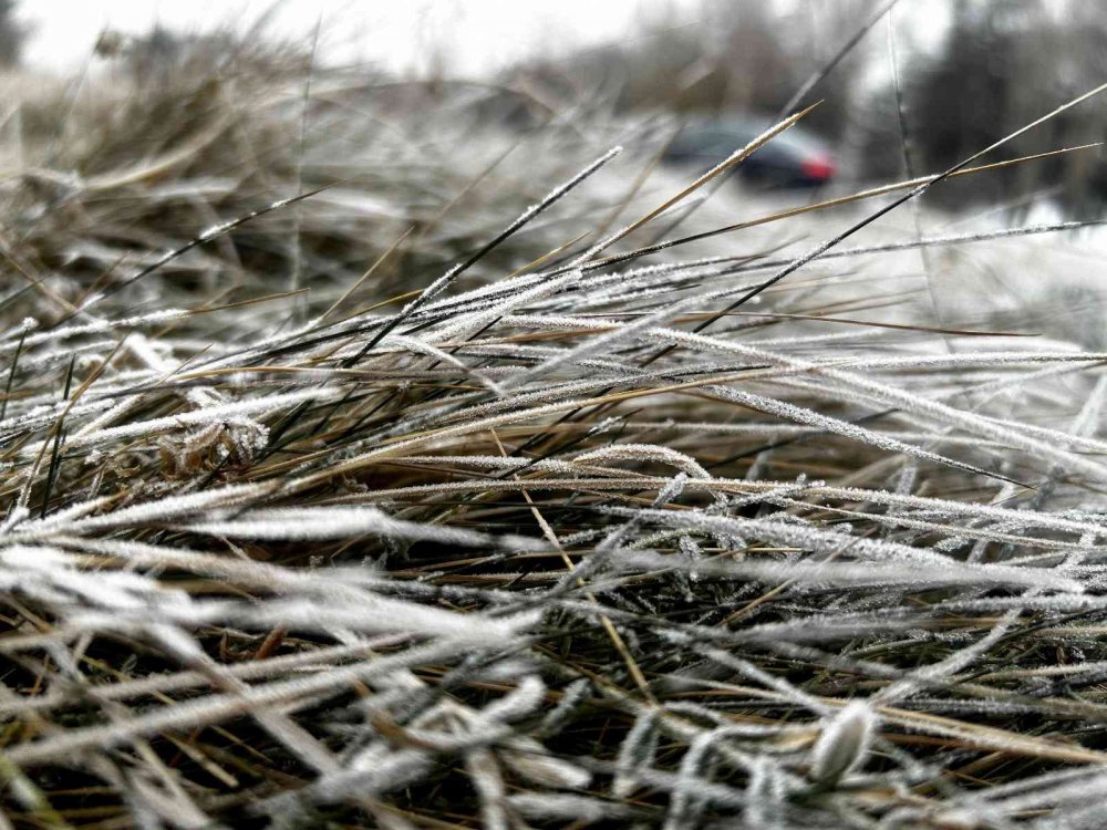 HAVA SICAKLIĞININ EKSİ 7'YE DÜŞTÜĞÜ ERZURUM'DA SOĞUK HAVA NEDENİYLE ARAÇ CAMLARI, CADDELER VE AĞAÇLAR, KIRAĞI İLE BUZ TUTTU