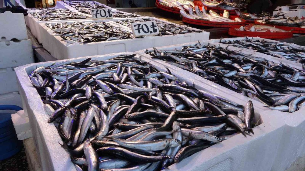 KARADENİZ'DE BUGÜNLERDE HAMSİ AVINDAKİ AZALMA TEZGÂHLARA OLUMSUZ YANSIRKEN, TRABZON'DA HAMSİNİN KİLOSU İLK KEZ 70 TL'Yİ GÖRDÜ
