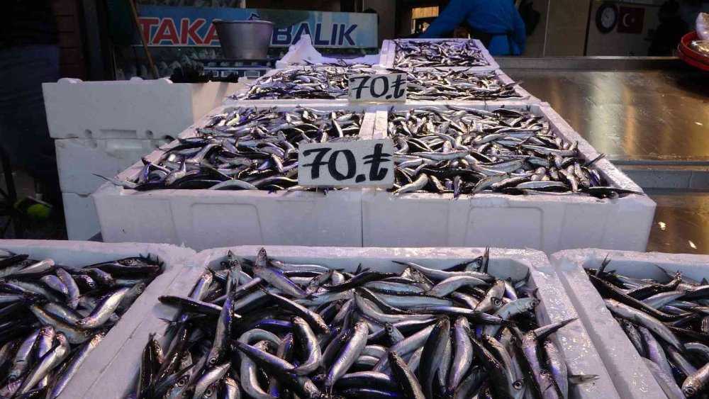 KARADENİZ'DE BUGÜNLERDE HAMSİ AVINDAKİ AZALMA TEZGÂHLARA OLUMSUZ YANSIRKEN, TRABZON'DA HAMSİNİN KİLOSU İLK KEZ 70 TL'Yİ GÖRDÜ