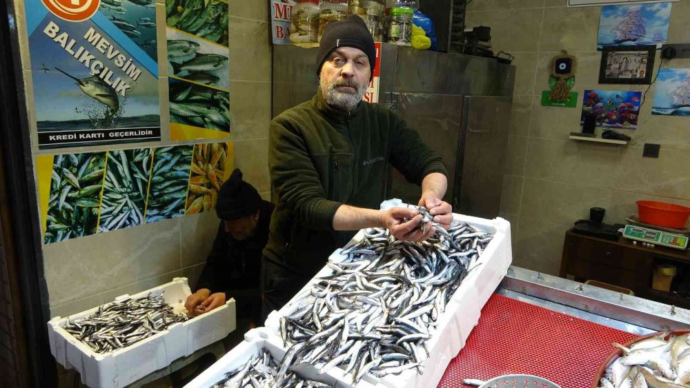 KARADENİZ'DE BUGÜNLERDE HAMSİ AVINDAKİ AZALMA TEZGÂHLARA OLUMSUZ YANSIRKEN, TRABZON'DA HAMSİNİN KİLOSU İLK KEZ 70 TL'Yİ GÖRDÜ