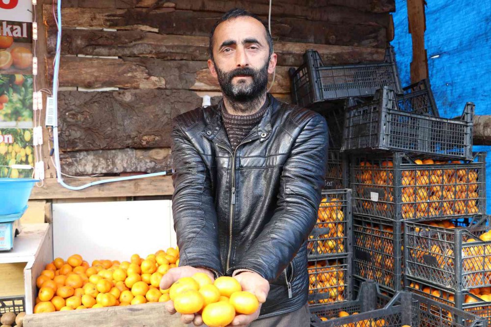 TIPKI ÇAY GİBİ RİZE’DE YETİŞİYOR, TÜM TÜRKİYE TÜKETİYOR. RİZE'NİN DEREPAZARI İLÇESİNDE YETİŞEN VE İSMİNİ YETİŞTİĞİ İLÇEDEN ALAN DEREPAZARI MANDALİNASI TADI VE AROMASI İLE BÜYÜK İLGİ GÖRÜYOR