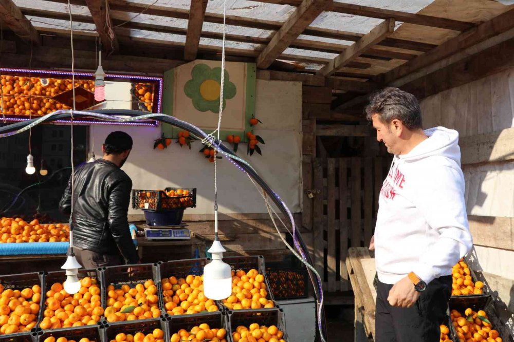 TIPKI ÇAY GİBİ RİZE’DE YETİŞİYOR, TÜM TÜRKİYE TÜKETİYOR. RİZE'NİN DEREPAZARI İLÇESİNDE YETİŞEN VE İSMİNİ YETİŞTİĞİ İLÇEDEN ALAN DEREPAZARI MANDALİNASI TADI VE AROMASI İLE BÜYÜK İLGİ GÖRÜYOR