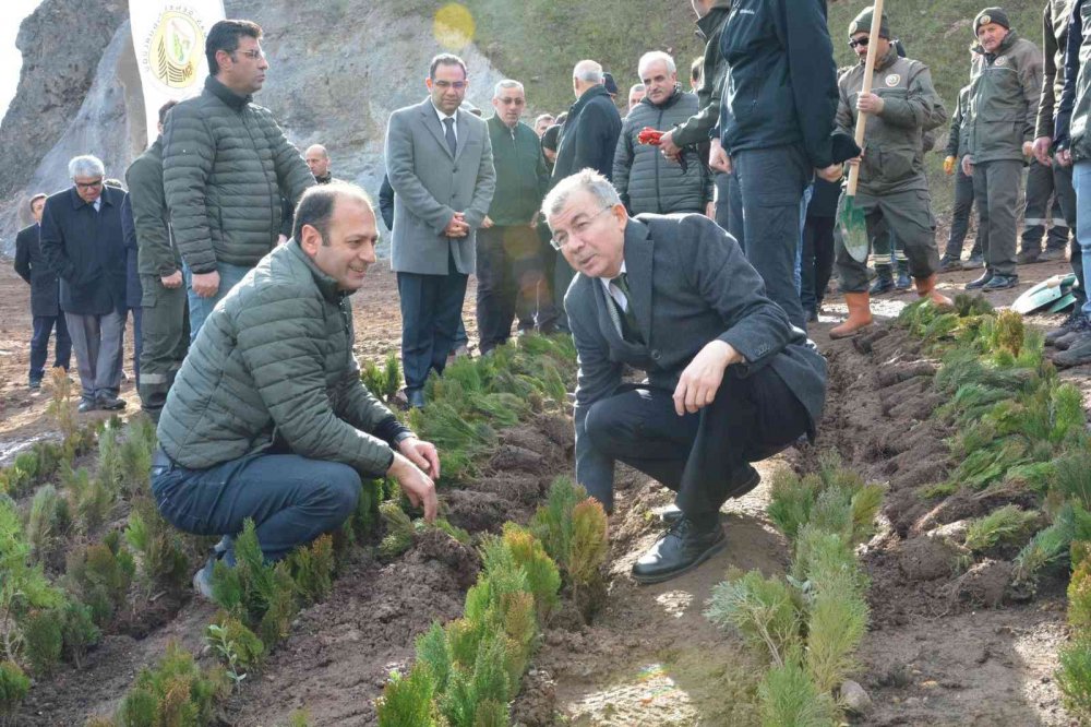 ARTVİN ORMAN BÖLGE MÜDÜRLÜĞÜ TARAFINDAN ARTVİN-BORÇKA KARAYOLUNUN 15. KİLOMETRESİNDE YOL KENARINA 36 BİN FİDANLA DİKİLEREK "TÜRKİYE YÜZYILI" LOGOSU İŞLENDİ