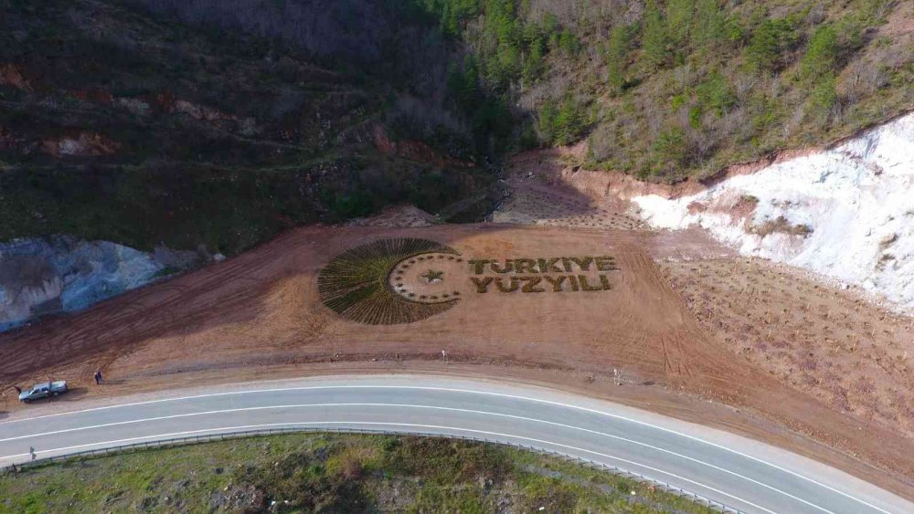 ARTVİN ORMAN BÖLGE MÜDÜRLÜĞÜ TARAFINDAN ARTVİN-BORÇKA KARAYOLUNUN 15. KİLOMETRESİNDE YOL KENARINA 36 BİN FİDANLA DİKİLEREK "TÜRKİYE YÜZYILI" LOGOSU İŞLENDİ