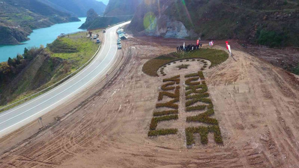 ARTVİN ORMAN BÖLGE MÜDÜRLÜĞÜ TARAFINDAN ARTVİN-BORÇKA KARAYOLUNUN 15. KİLOMETRESİNDE YOL KENARINA 36 BİN FİDANLA DİKİLEREK "TÜRKİYE YÜZYILI" LOGOSU İŞLENDİ