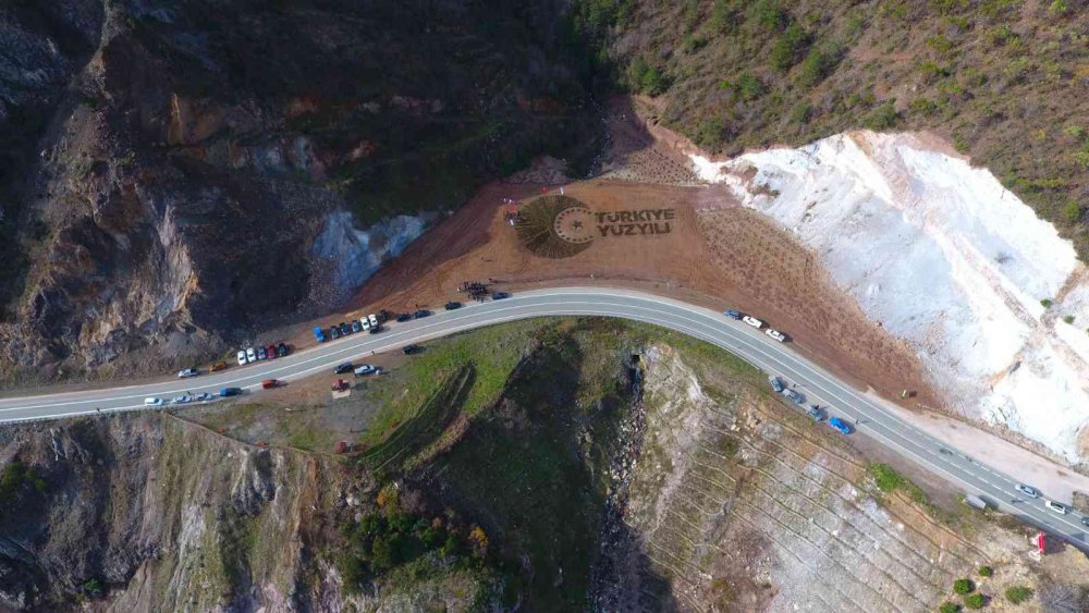 ARTVİN ORMAN BÖLGE MÜDÜRLÜĞÜ TARAFINDAN ARTVİN-BORÇKA KARAYOLUNUN 15. KİLOMETRESİNDE YOL KENARINA 36 BİN FİDANLA DİKİLEREK "TÜRKİYE YÜZYILI" LOGOSU İŞLENDİ