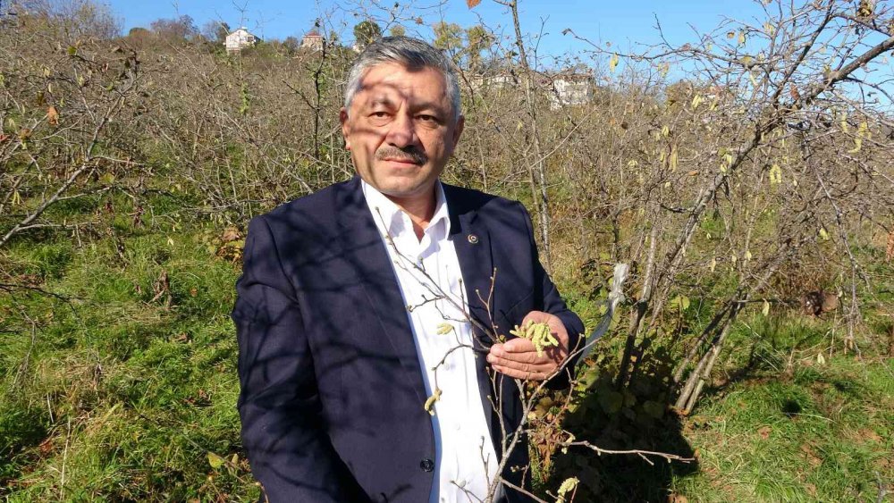 TÜRKİYE ZİRAAT ODALARI BİRLİĞİ YÖNETİM KURULU ÜYESİ ARSLAN SOYDAN, MEVSİM NORMALLERİNİN ÜZERİNDE SEYREDEN SICAKLIKLAR SEBEBİYLE OLUŞAN "YALANCI BAHARIN" 2023 YILI FINDIK ÜRETİMİNİ TEHLİKEYE DÜŞÜREBİLECEĞİNİ SÖYLEDİ