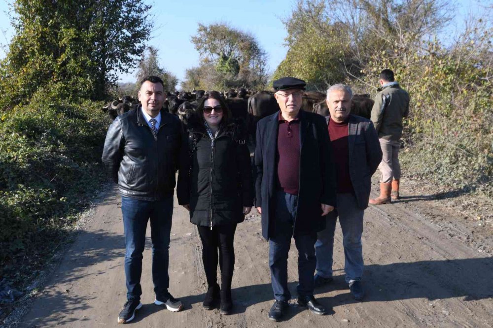 MANDA PASTIRMASI, SIĞIR PASTIRMASININ YERİNİ ALIYOR. TÜRKİYE'DE EN ÇOK MANDA VARLIĞINA SAHİP İL OLAN SAMSUN'DA MANDA ETİNDEN ÜRETİLEN PASTIRMAYA VATANDAŞLARIN TALEBİ HER GEÇEN YIL ARTIYOR