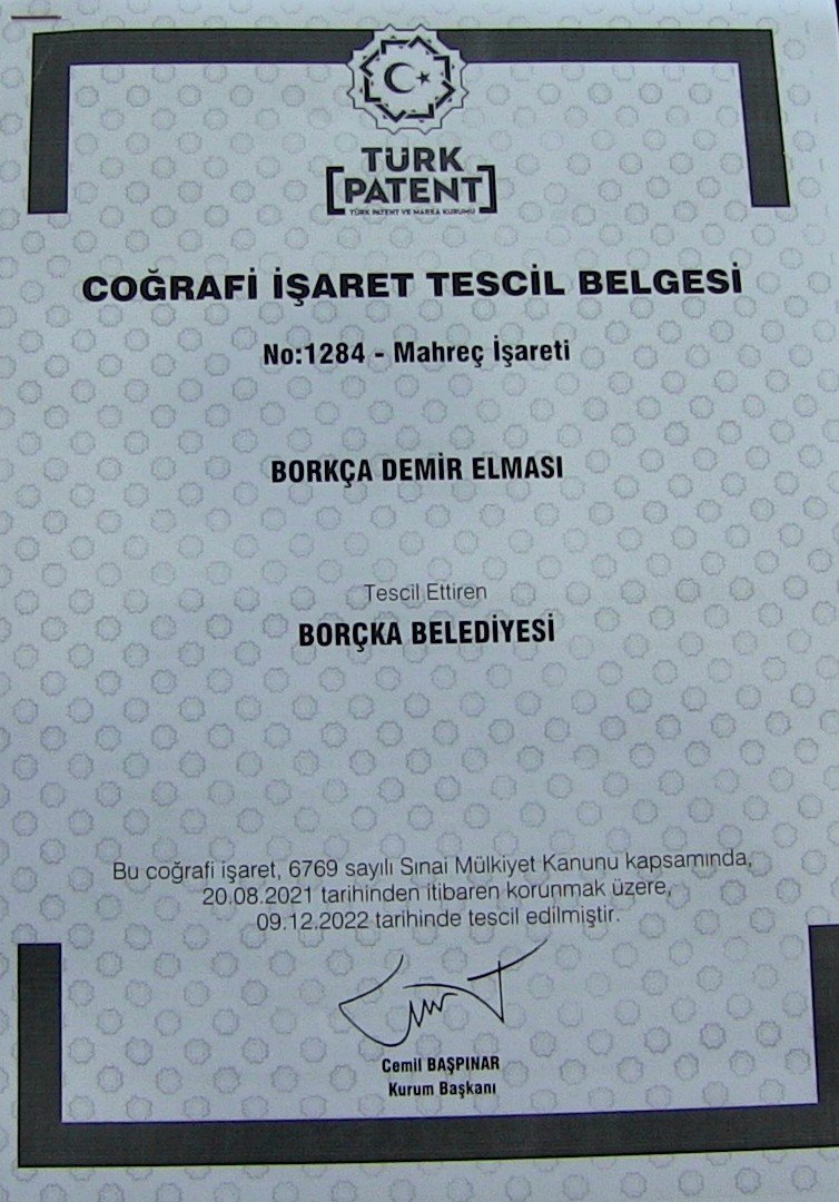 ARTVİN'İN BORÇKA İLÇESİNDE YETİŞTİRİLEN "BORÇKA DEMİR ELMASI" TÜRK PATENT VE MARKA KURUMUNCA TESCİLLENEREK COĞRAFİ İŞARET TESCİL BELGESİ ALDI