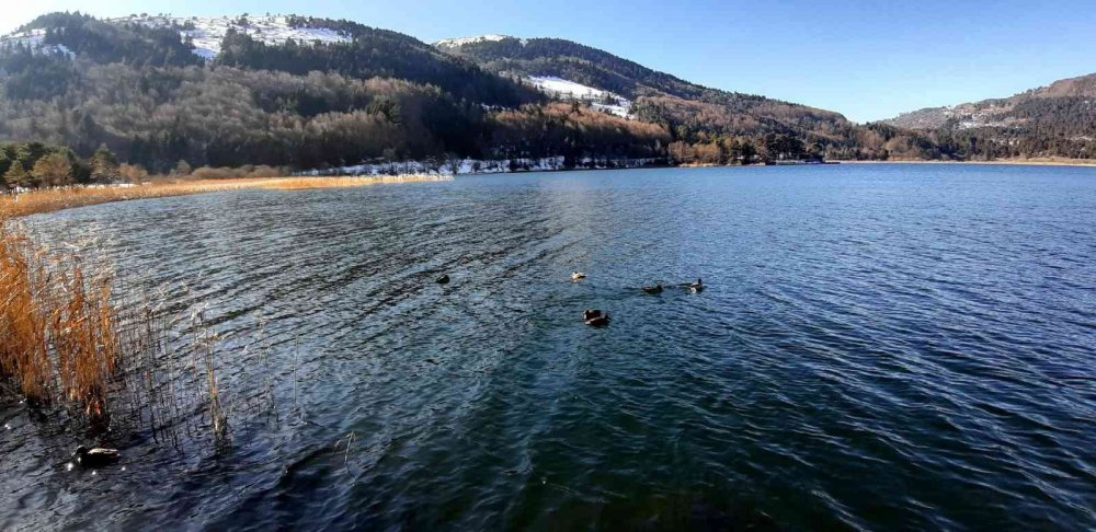 BOLU'NUN DOĞA HARİKASI ABANT GÖLÜ MİLLİ PARKI'NDAKİ GÖLÜN KIYILARI SOĞUK HAVA SEBEBİYLE BUZ TUTTU