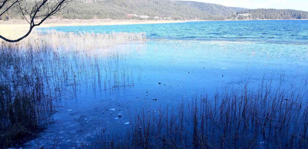BOLU'NUN DOĞA HARİKASI ABANT GÖLÜ MİLLİ PARKI'NDAKİ GÖLÜN KIYILARI SOĞUK HAVA SEBEBİYLE BUZ TUTTU