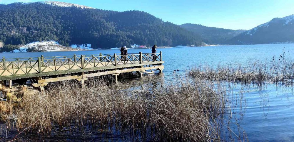 BOLU'NUN DOĞA HARİKASI ABANT GÖLÜ MİLLİ PARKI'NDAKİ GÖLÜN KIYILARI SOĞUK HAVA SEBEBİYLE BUZ TUTTU