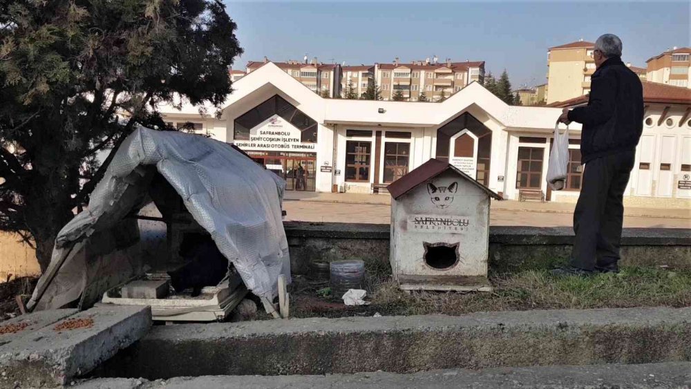 KARABÜK'ÜN SAFRANBOLU İLÇESİNDE HAYVAN SEVGİSİYLE BİLİNEN 30 YILLIK TAKSİCİ EROL ÇETİN, 25 YILDIR HER SABAH SOKAK HAYVANLARINI MAMA DAĞITARAK DOYURUYOR
