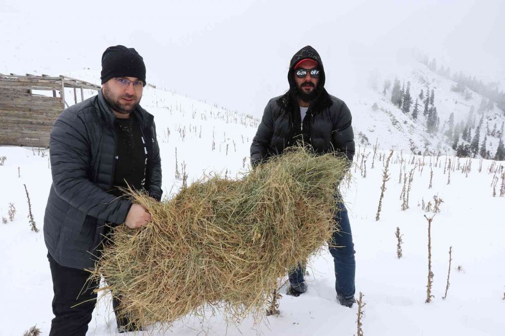 GÜMÜŞHANE'DE OFF-ROAD KULÜBÜ SPORCULARI NORMAL ARAÇLARIN ULAŞAMAYACAĞI NOKTALARA ARAZİ ARAÇLARI İLE ÇIKARAK YABAN HAYVANLARI İÇİN YEMLEME ÇALIŞMASI YAPTI