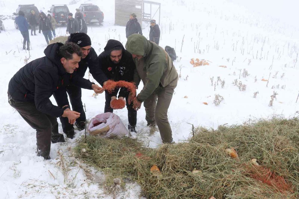 GÜMÜŞHANE'DE OFF-ROAD KULÜBÜ SPORCULARI NORMAL ARAÇLARIN ULAŞAMAYACAĞI NOKTALARA ARAZİ ARAÇLARI İLE ÇIKARAK YABAN HAYVANLARI İÇİN YEMLEME ÇALIŞMASI YAPTI