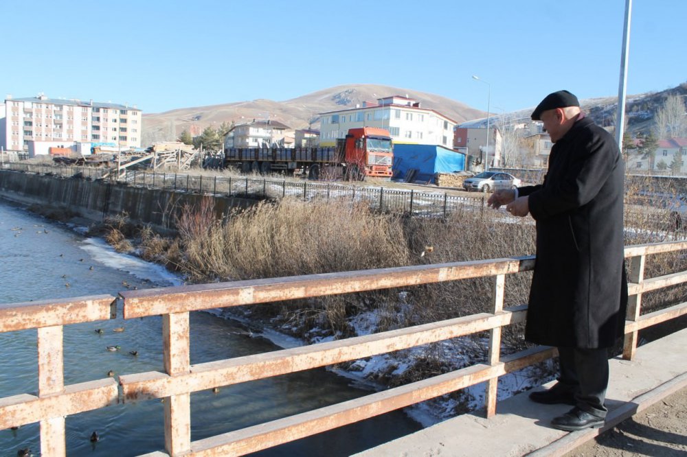 SİBİRYA’DAN GÖÇ EDEN YEŞİLBAŞLI ÖRDEKLER BAYBURT’U SEVDİ. SİBİRYA VE RUSYA'DAN GÖÇ EDEN, TÜRKÜLERE KONU OLAN YEŞİLBAŞLI ÖRDEKLER, 10 YILDIR KIŞ AYLARINDA BAYBURT'TAN GEÇEN ÇORUH NEHRİNİ MESKEN TUTTU