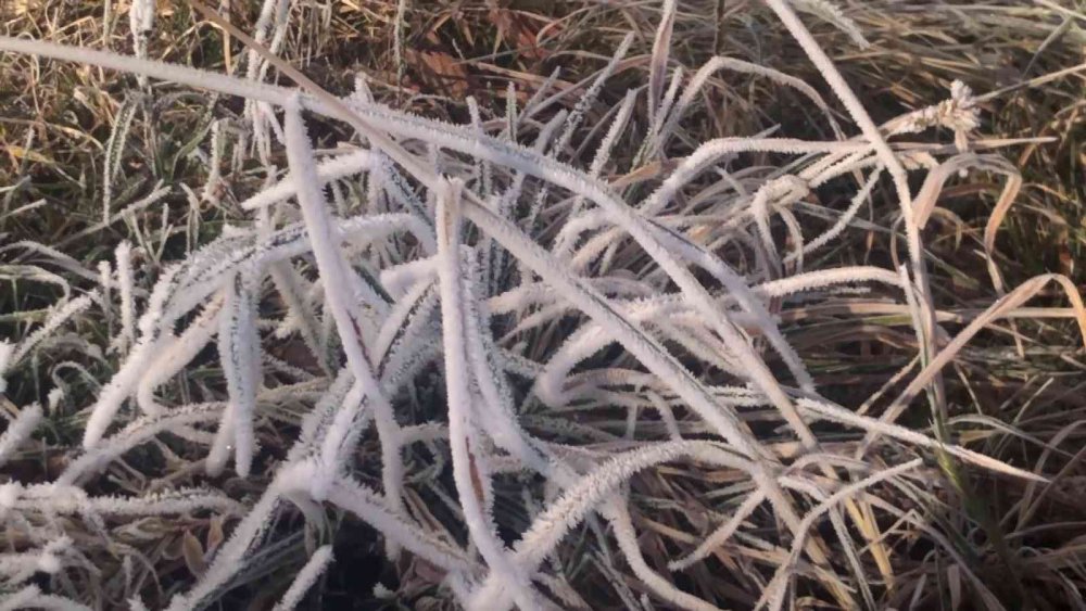 ERZURUM'DA HAVA SICAKLIĞI GECE SIFIRIN ALTINDA 18, GÜNDÜZ İSE SIFIRIN ALTINDA 11 DERECEYE DÜŞMESİYLE HER YER BUZ TUTTU