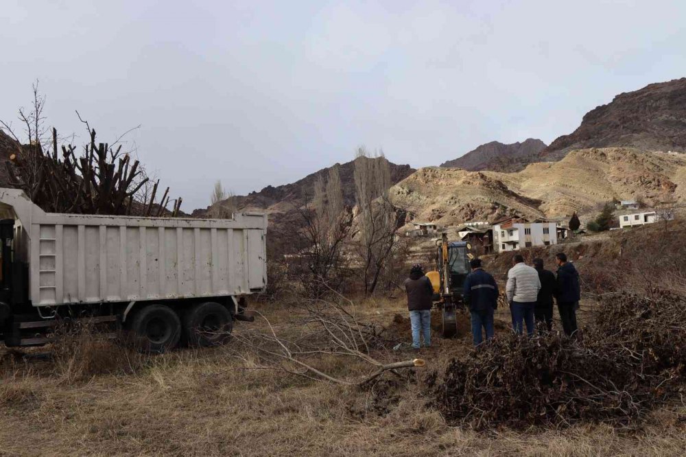 ARTVİN'DE ÇORUH NEHRİ ÜZERİNDE SU TUTMAYA BAŞLAYAN YUSUFELİ BARAJI'NIN İLÇE MERKEZİ VE KÖYLERİ SULAR ALTINDA BIRAKACAK OLMASI NEDENİYLE BAHÇELERDEKİ MEYVE AĞAÇLARINI İŞ MAKİNELERİ İLE SÖKÜLEREK OLTU'DA BAHÇELERE DİKİLİYOR