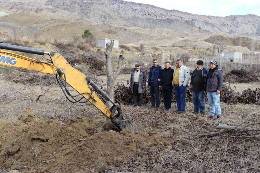 ARTVİN'DE ÇORUH NEHRİ ÜZERİNDE SU TUTMAYA BAŞLAYAN YUSUFELİ BARAJI'NIN İLÇE MERKEZİ VE KÖYLERİ SULAR ALTINDA BIRAKACAK OLMASI NEDENİYLE BAHÇELERDEKİ MEYVE AĞAÇLARINI İŞ MAKİNELERİ İLE SÖKÜLEREK OLTU'DA BAHÇELERE DİKİLİYOR