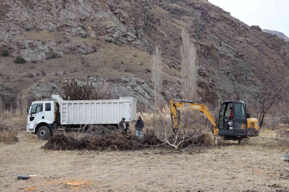 ARTVİN'DE ÇORUH NEHRİ ÜZERİNDE SU TUTMAYA BAŞLAYAN YUSUFELİ BARAJI'NIN İLÇE MERKEZİ VE KÖYLERİ SULAR ALTINDA BIRAKACAK OLMASI NEDENİYLE BAHÇELERDEKİ MEYVE AĞAÇLARINI İŞ MAKİNELERİ İLE SÖKÜLEREK OLTU'DA BAHÇELERE DİKİLİYOR