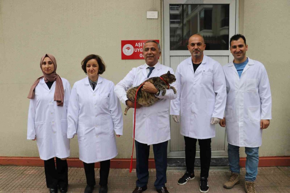 "KEDİ, KÖPEK VE GELİNCİKLERİN KİMLİKLENDİRİLMESİ VE KAYIT ALTINA ALINMASINA DAİR YÖNETMELİK" ÇERÇEVESİNDE SAMSUN'DA 2022 YILINDA TOPLAM 29 BİN 891 EVCİL HAYVAN KAYIT ALTINA ALINDI