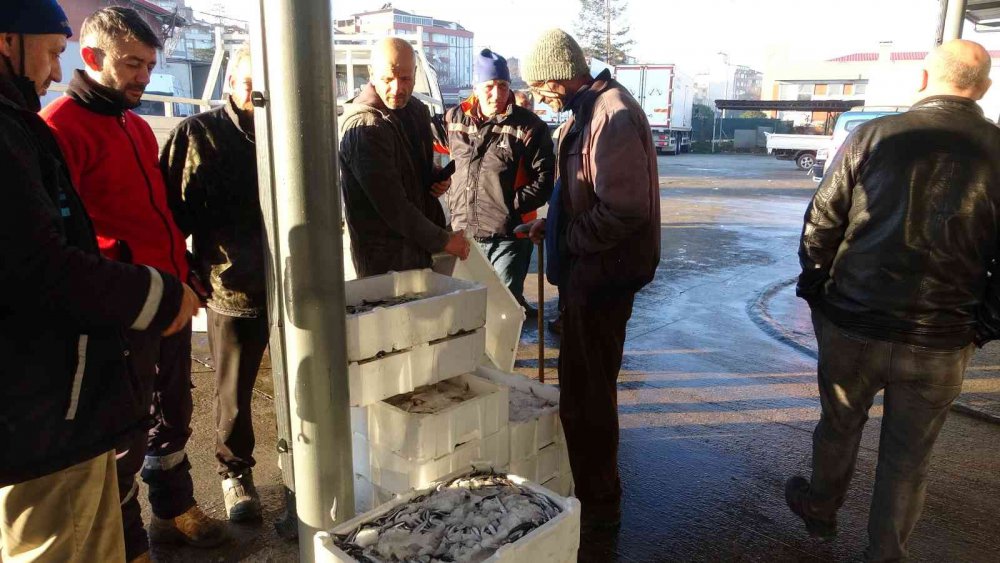 BALIK HALLERİNDE BUGÜNLERDE EN DURGUN DÖNEMİNİ YAŞARKEN, GELEN HAMSİ MİKTARI DA GÜN GEÇTİKÇE AZALIYOR. 1 AY ÖNCESİNE KADAR BALIK HALİNE 2 BİN KASANIN ÜZERİNDE HAMSİ GELİRKEN BU RAKAM NEREDEYSE 500 KASAYA KADAR GERİLEDİ