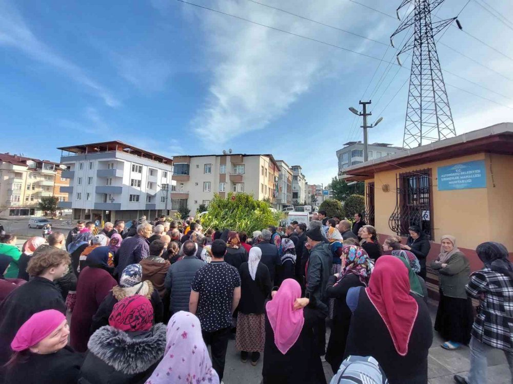 GEÇMİŞTE MEYVE BAHÇELERİ İLE ANILAN ORDU'NUN ALTINORDU'NUN TARİHİ MİRASINI BUGÜNE TAŞIYARAK YENİDEN CANLANDIRIYOR. ALTINORDU BELEDİYESİ 341 BİN FİDANI TOPRAKLA BULUŞTURDU