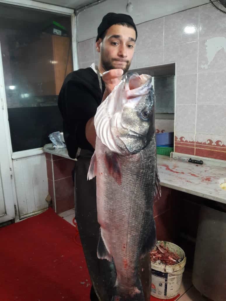 KASTAMONU'DA 8 KİLOGRAM AĞIRLIĞINDA LEVREK YAKALADI, 2 BİN LİRAYA ALICI BEKLİYOR