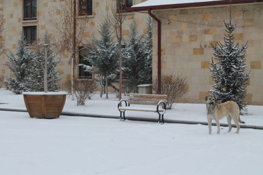 BAYBURT'TA GECE SAATLERİNDE BAŞLAYAN KAR YAĞIŞI SABAHA KADAR DEVAM ETTİ. KENTİ BEYAZA BÜRÜYEN KAR YAĞIŞININ ARDINDAN SOĞUK HAVA DA ETKİSİNİ GÖSTERDİ