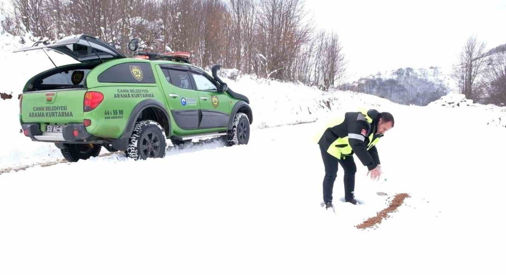 CANİK BELEDİYESİ ARAMA KURTARMA EKİPLERİ, KAR YAĞIŞININ ETKİLİ OLDUĞU İLÇEDE SOKAK HAYVANLARININ YİYECEK SIKINTISI YAŞAMAMASI İÇİN SEFERBER OLDU