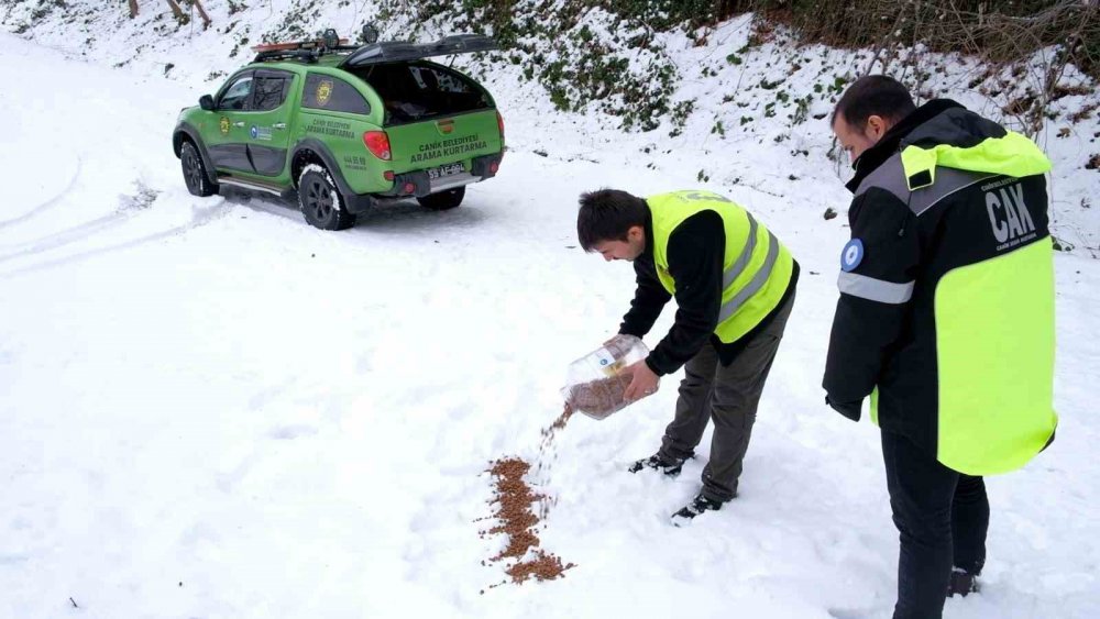 CANİK BELEDİYESİ ARAMA KURTARMA EKİPLERİ, KAR YAĞIŞININ ETKİLİ OLDUĞU İLÇEDE SOKAK HAYVANLARININ YİYECEK SIKINTISI YAŞAMAMASI İÇİN SEFERBER OLDU