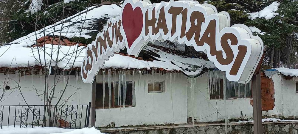 BOLU'NUN GÖYNÜK İLÇESİNDE, HAVA SICAKLIKLARININ GECE SAATLERİNDE EKSİ 10 DERECELERDE SEYRETMESİ ÜZERİNE BUZ SARKITLARI OLUŞTU